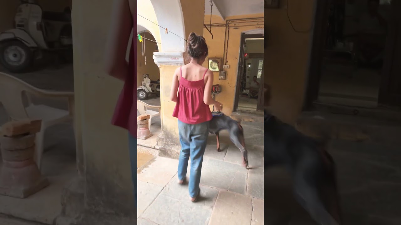 Playing time with Prince😍 | Saving the lost | 