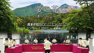 愛の花 / あいみょん　NHK連続テレビ小説『らんまん』主題歌【サマーコンサート2023 in 裏磐梯レイクリゾート】