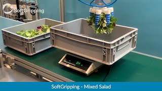 #SoftGripping - Mixed Salad [Objects]