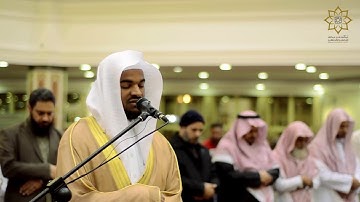 ومايستوي الأعمى والبصير | للقارئ أنس العلي