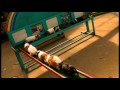 モルモットの橋渡りＧuinea pig Bridge passage