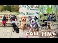 Our 1st family hiking trip to hocking hills with 3 dogs  chaos lol