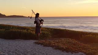 Piper At Sunset, Carmel Beach