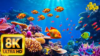 11 HOURS of 8K Underwater Wonders + Relaxing Music - Coral Reefs & Colorful Sea Life - 8K Video UHD