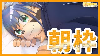 【2月4日朝枠！】お布団はあったかい【猫酪真珠】