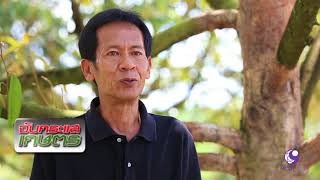 คนไทยหัวใจเกษตร 13 พฤศจิกายน 2560 B3