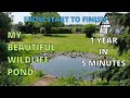 My beautiful wildlife pond build a year in five minutes
