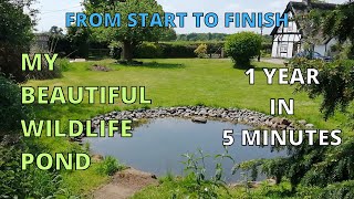 My Beautiful WILDLIFE POND Build a YEAR in FIVE minutes