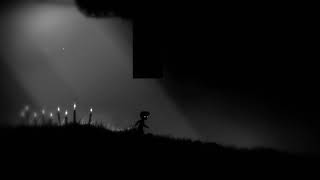 Limbo - DING! / Hidden Trophy Guide