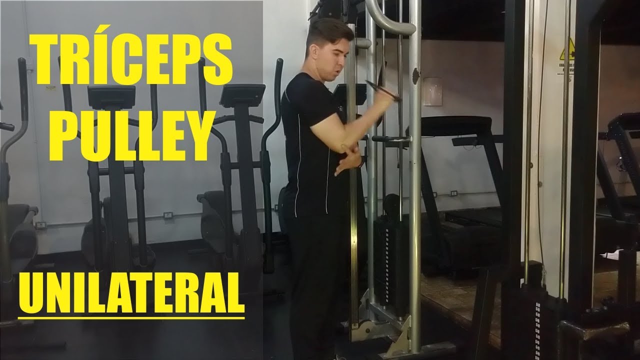 Tríceps Pulley Unilateral YouTube