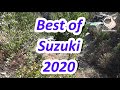 Best of Suzuki 2020