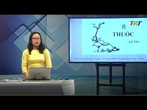 Video Ngữ văn 12: Thuốc (Lỗ Tấn) - Tiết 1 - youtube