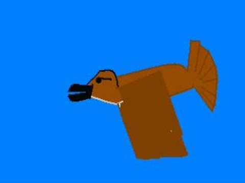 Największa bryłka złota na świecie znaleziona w Australii (Jest naprawdę ogromna!)