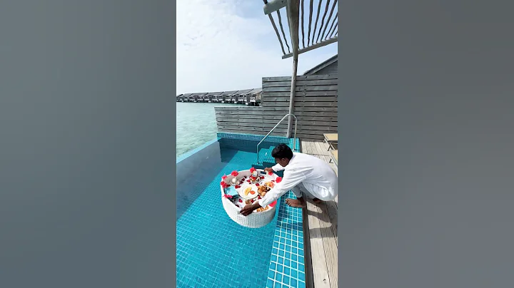 Floating breakfast is served💦 #maldives #hotel #shorts