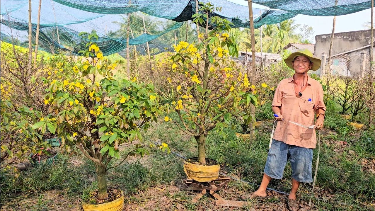 Anh Đồng 📲 O35275II57 Thanh lý trả đất mai Giảo Thủ Đức giả rẻ 27/2 (@MaivàngQuêdừa)