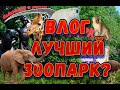 Лучший зоопарк Украины - Николаевский зоопарк!