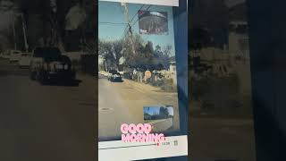 Funny autopilot fail v11 beta