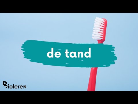 Video: Namen Van Tanden: Vorm En Functie Van Vier Soorten Tanden