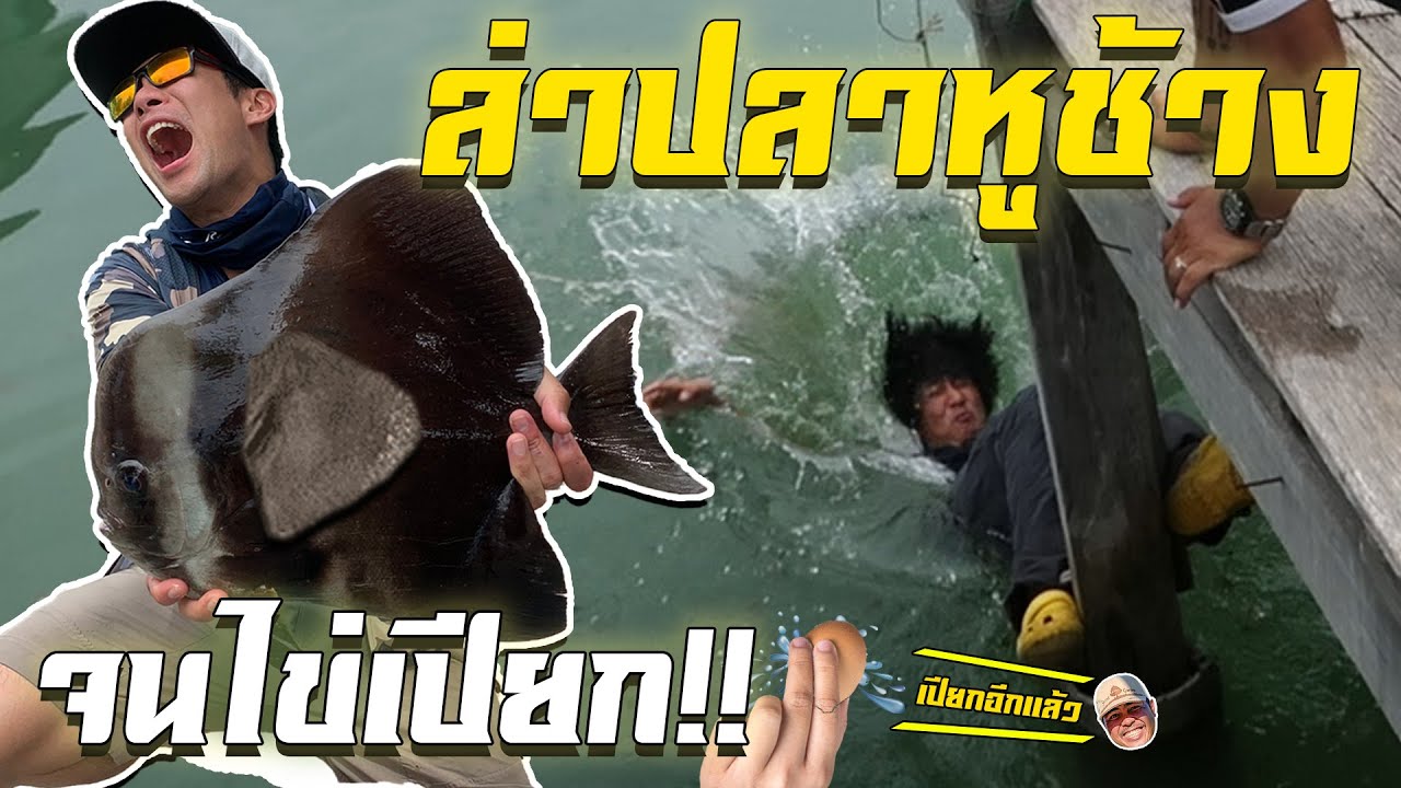 ล่าปลาหูช้าง จนไข่เปียก!! [คนหลงรส] EP.51