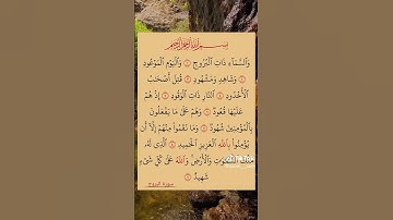 القارئ صلاح بو خاطر # سورة البروج # القرآن الكريم