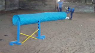 KRRs Training Week 2 Agility
