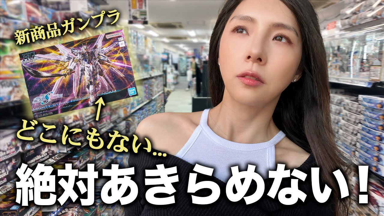 【奇跡は起きた！？】10店舗回ってあきらめかけたその時.....ド根性でガンプラ探す韓国人
