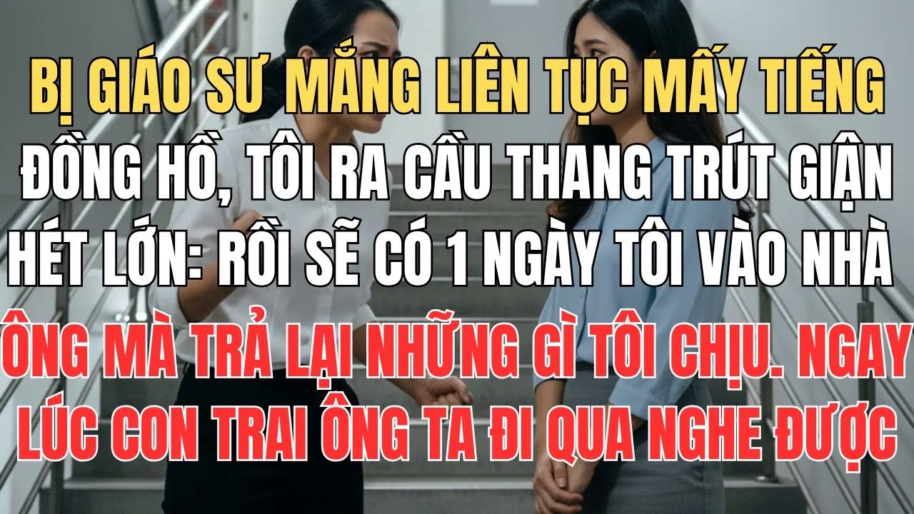 Bị Giáo Sư Mắng Liên Tục Mấy Tiếng Đồng Hồ Tôi Ra Cầu Thang Trút Giận Hét Lớn： Rồi Sẽ Có Một Ngày