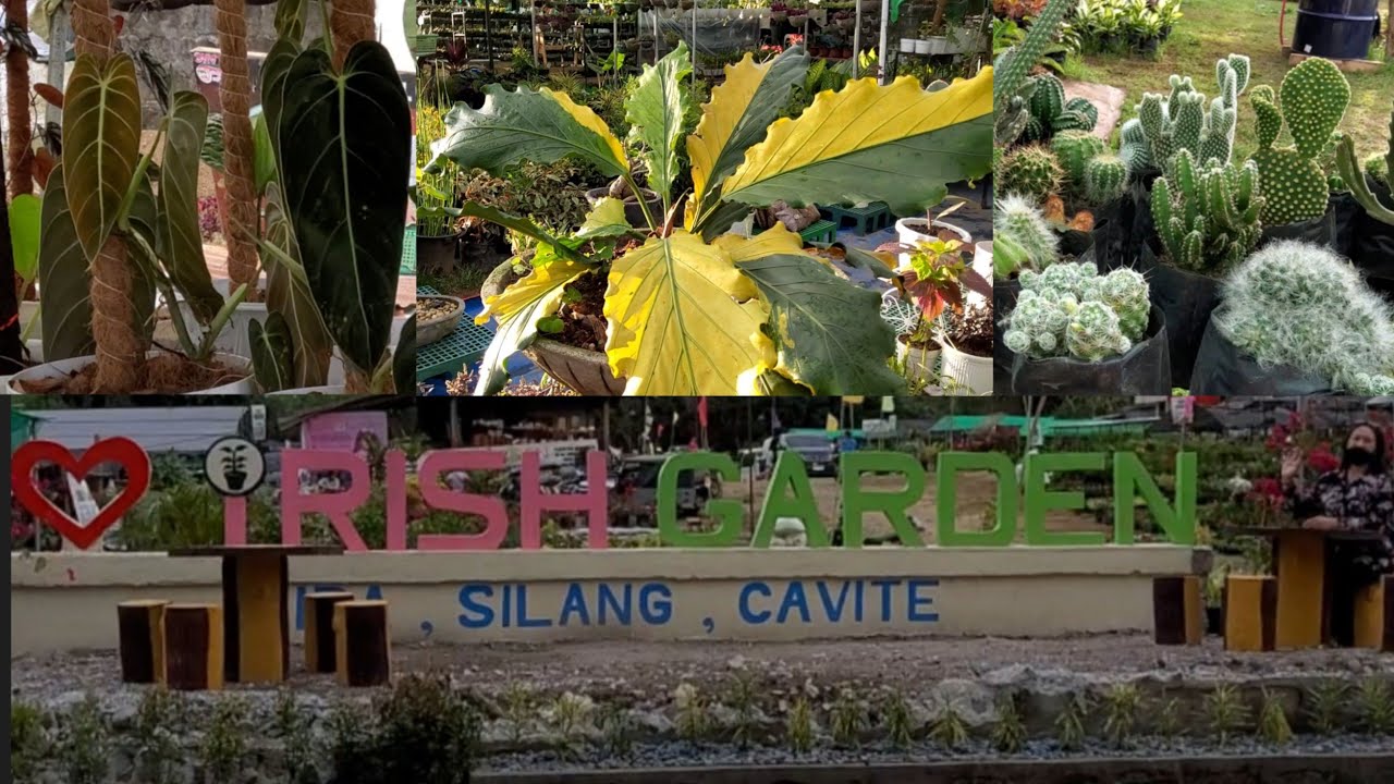 IRISH GARDEN, Barangay Iba, Silang, Cavite (Plant Shopping Center