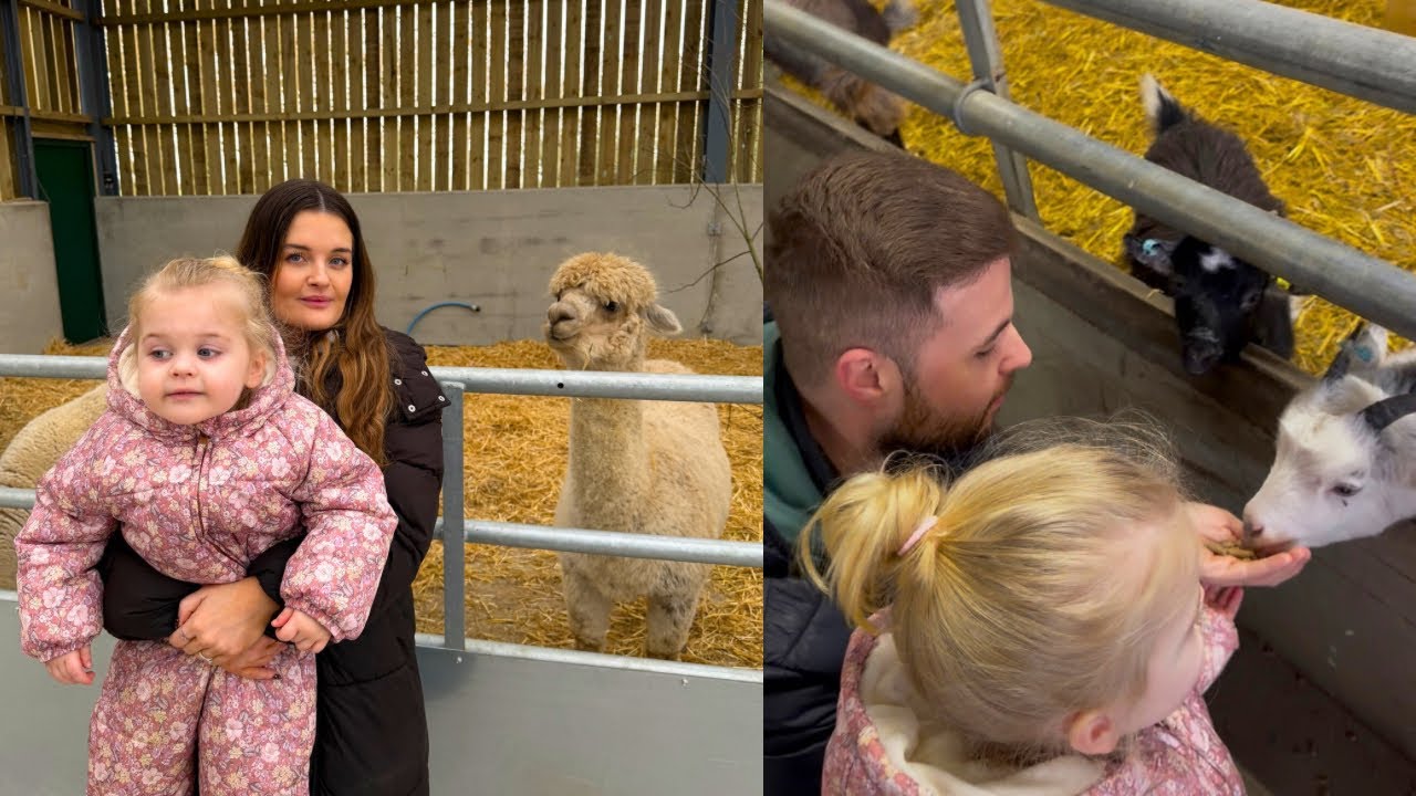 The ONLY way to spend a sunday...