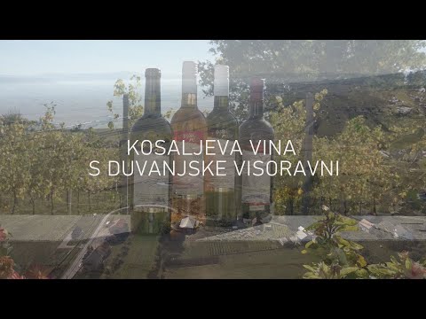 Kosaljeva vina sa Duvanjske visoravni