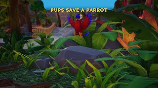 Paw Patrol World Walkthrough Playthrough Pups Save A Parrot 4K60, Ps5