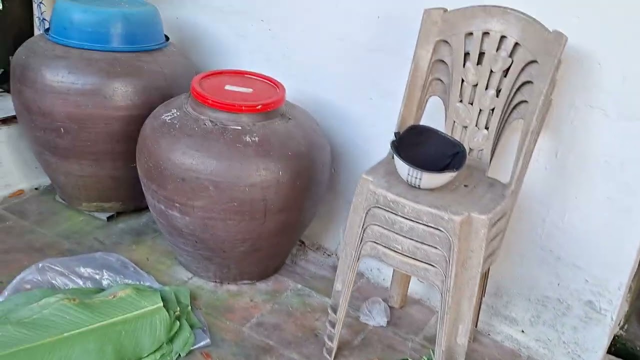 Bố mẹ đang gói bánh trưng đón tết