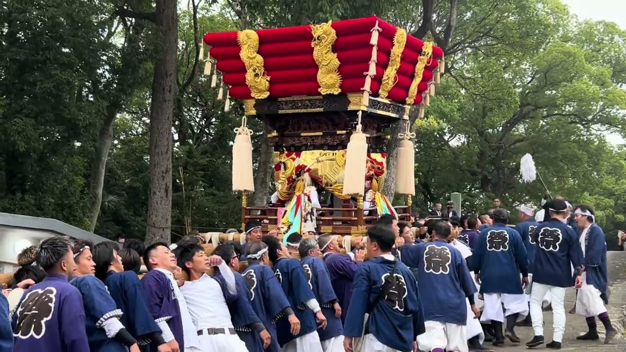 白羽神社秋祭り　牟礼濱太鼓台　2025/10/12