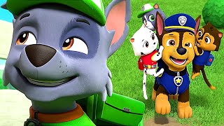 Rocky and Chase save the kittens | PAW Patrol Series | CLIP