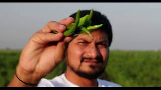 Bharva Gawar Phali Ki Subzi | Most AMAZING INDIAN FOOD MADE EVER BY Nikunj Vasoya