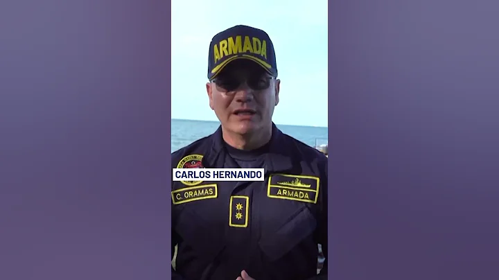 Colombian Navy Seizes 4.5 Tonnes Of Cocaine In The Caribbean | 10 News