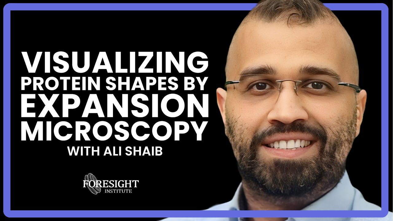 Ali Shaib | Visualizing Protein Shapes by Expansion Microscopy
