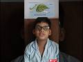 Parts of leaves # science olympiad # class 3