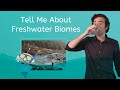 Freshwater Biomes: The Vital Role of Lakes, Rivers, and Wetlands