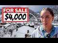 I LEFT the UK & Bought a €4,000 House ONLINE… 6 Months Later