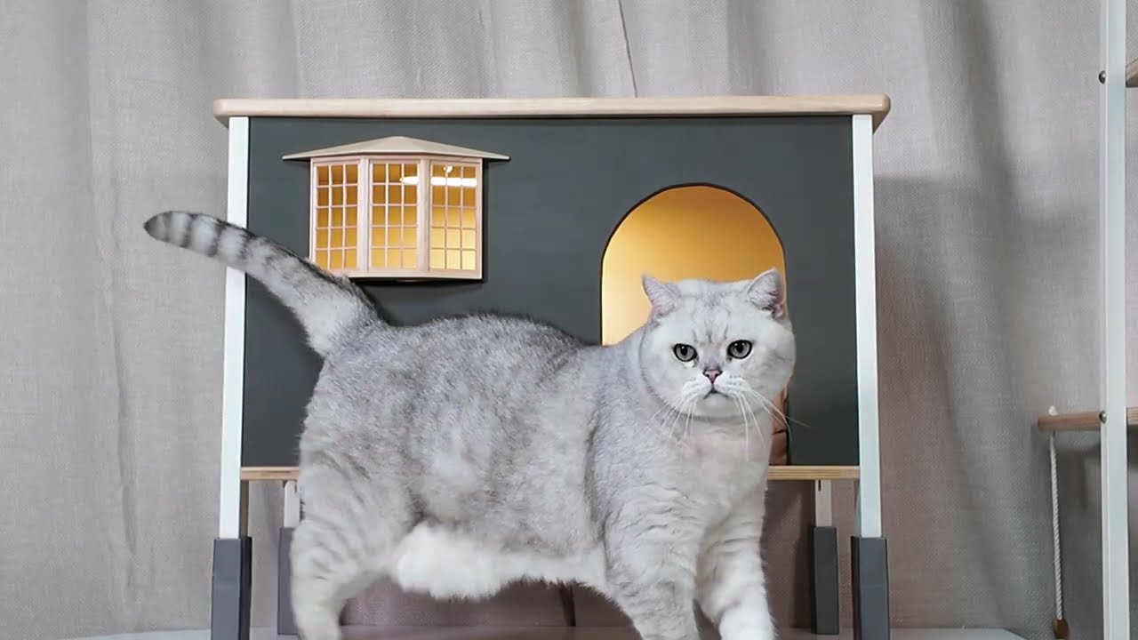 이케아 둑티그 숨숨집으로 DIY