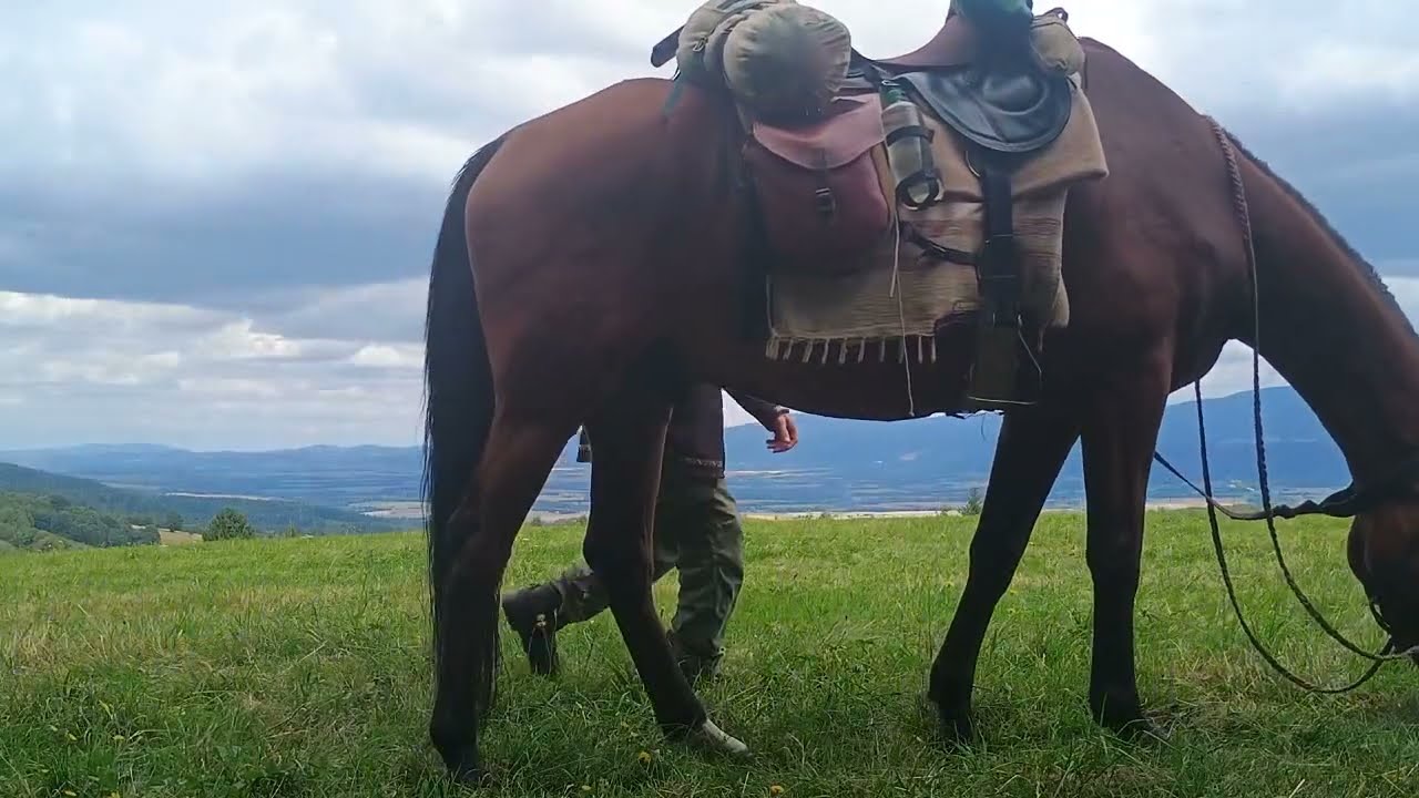 klif-Cesta na 100 mil 25