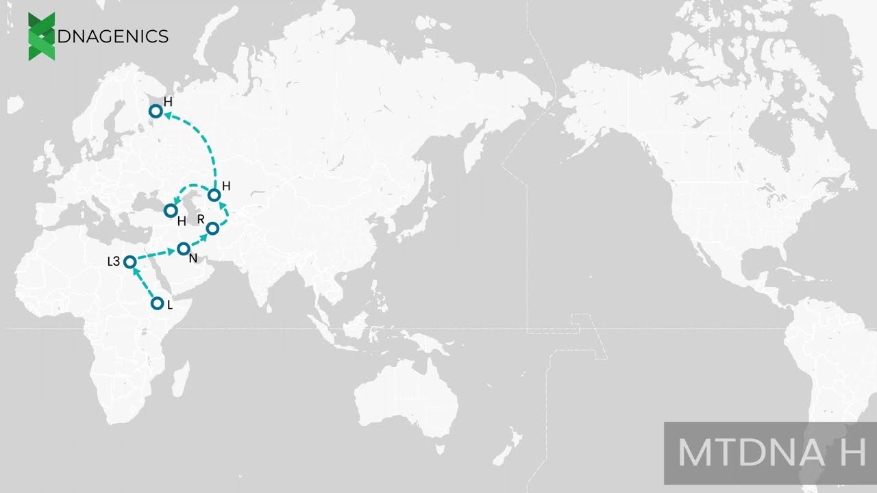 MTDNA H - DNAGENICS