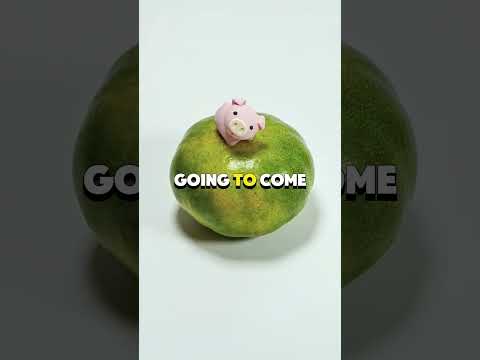 What Would You Text If You Thought Those Might Be Your Last Minutes 