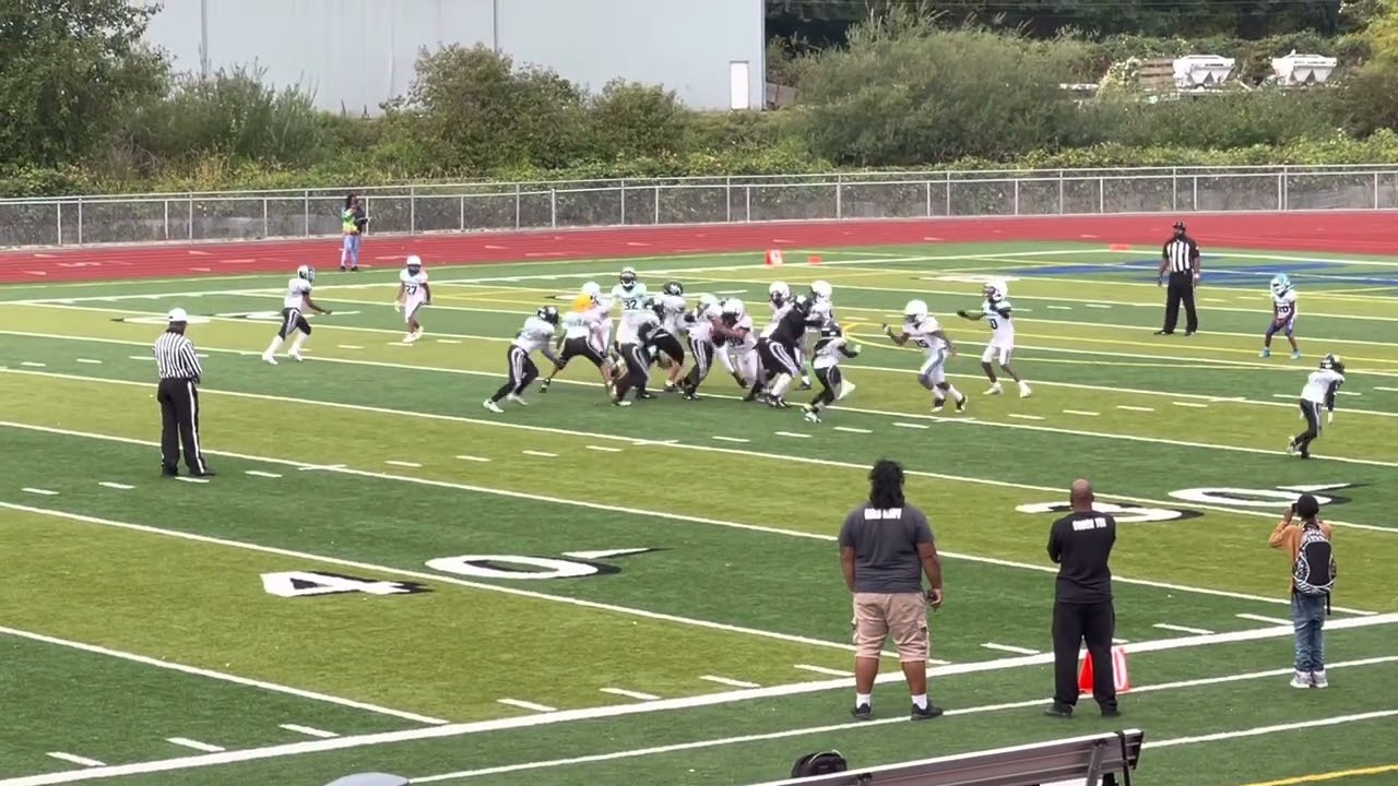 Madden hit stick caused the fumble