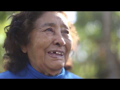 Testimonio 5