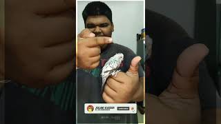 😍🦜SKY- உடன் ஒரு நாள்✌️|⚡️ONE DAY WITH MY SKY🤩|@JEELANI_VLOGGER#trending #pets #shorts #lovebirds