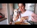 Dogs React to Food Cooked By Husband | Ss Vlogs :-)