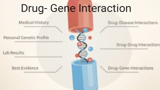 Drug -gene Interaction| Examples of drug- gene interaction Resimi