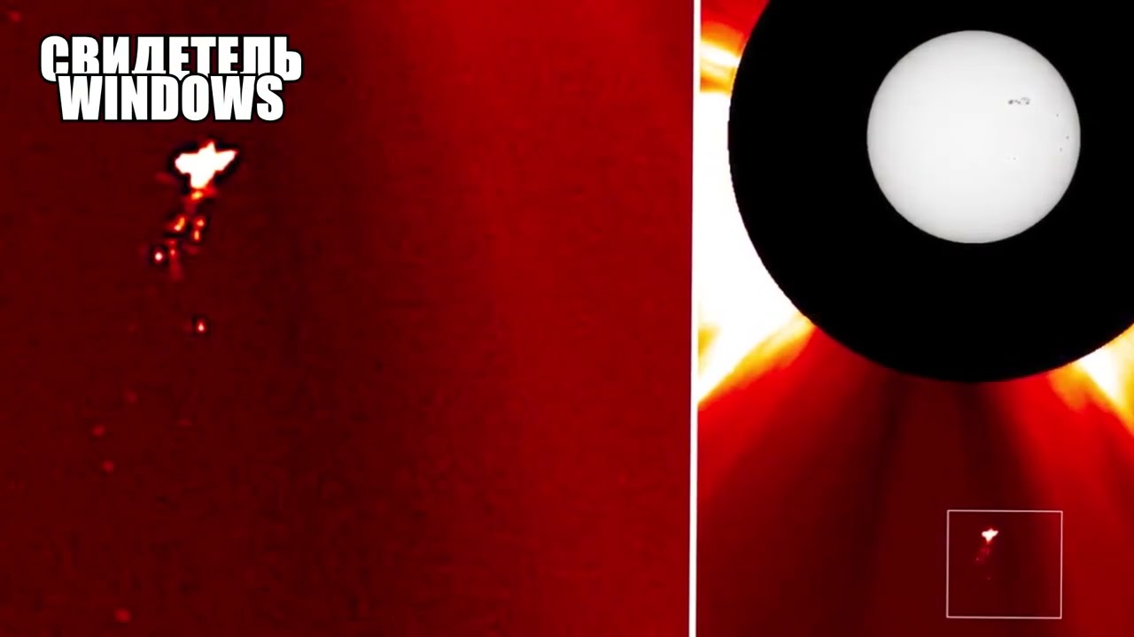 Свидетель Windows/ГИГАНТСКОЕ НЛО ПТИЦА БОЛЬШЕ ЗЕМЛИ в 100 раз снова замечено вблизи Солнца